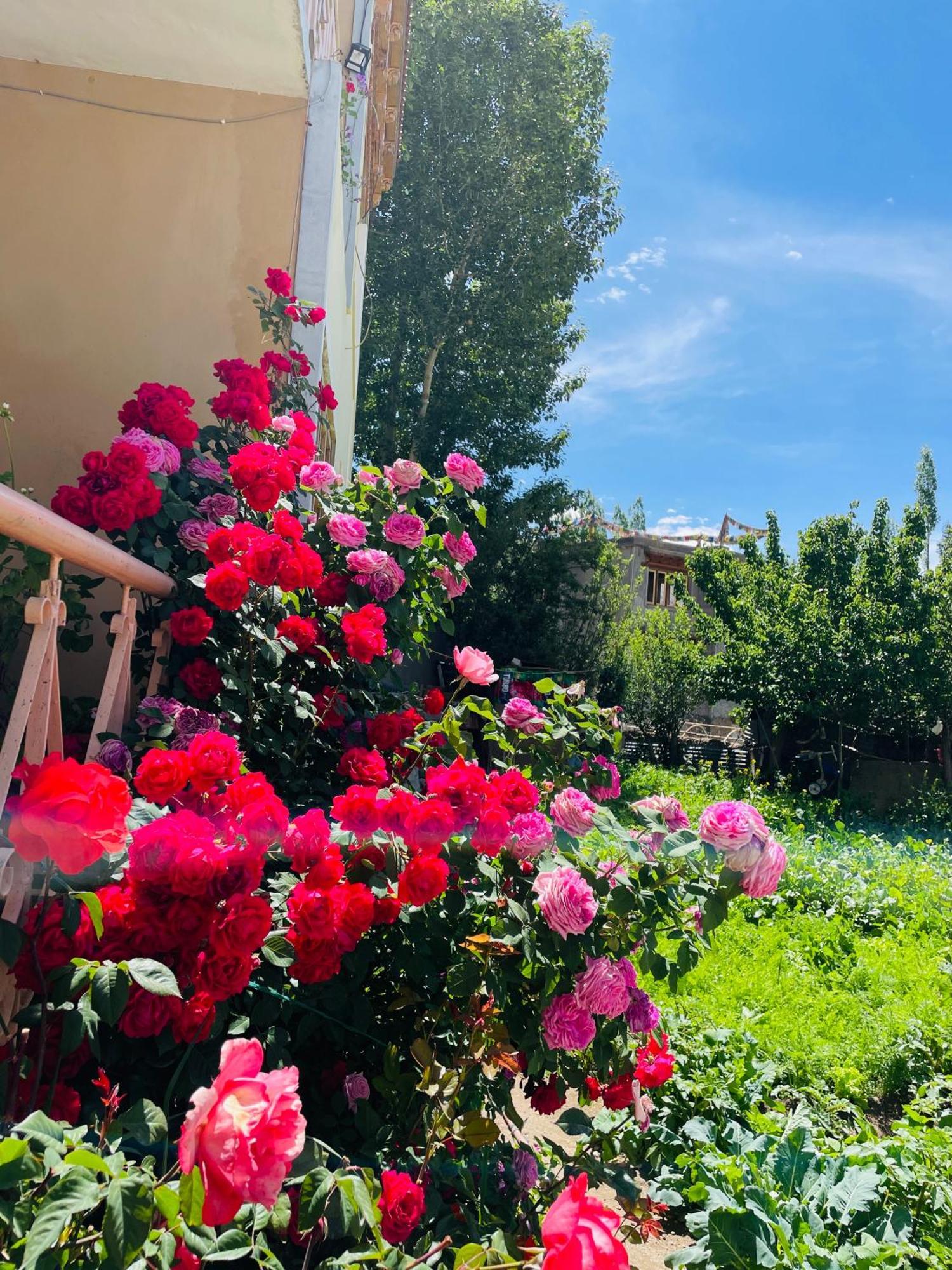 Zlatan Guest House Лех Экстерьер фото